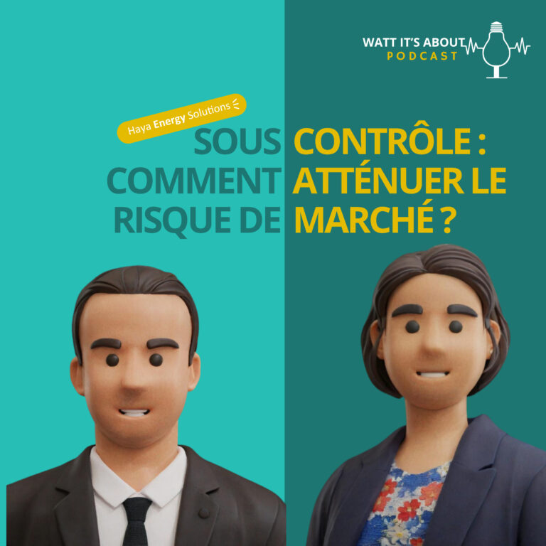E11-FR. Sous contrôle: comment atténuer le risque dans un marché volatile?♟️