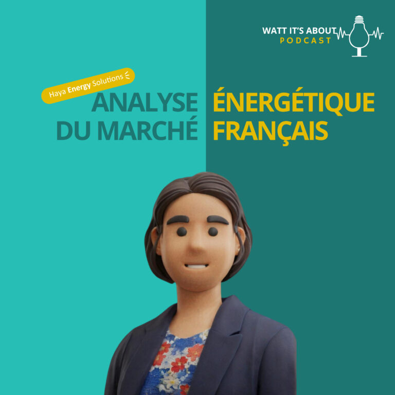 E12-FR. Analyse énergétique du marché français📈