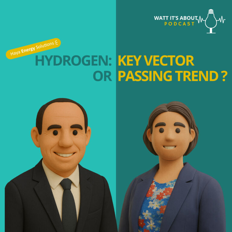 E14-EN. Interview with Philippe Boulanger: Hydrogen – key vector or passing trend ? (Part 2) 🔋