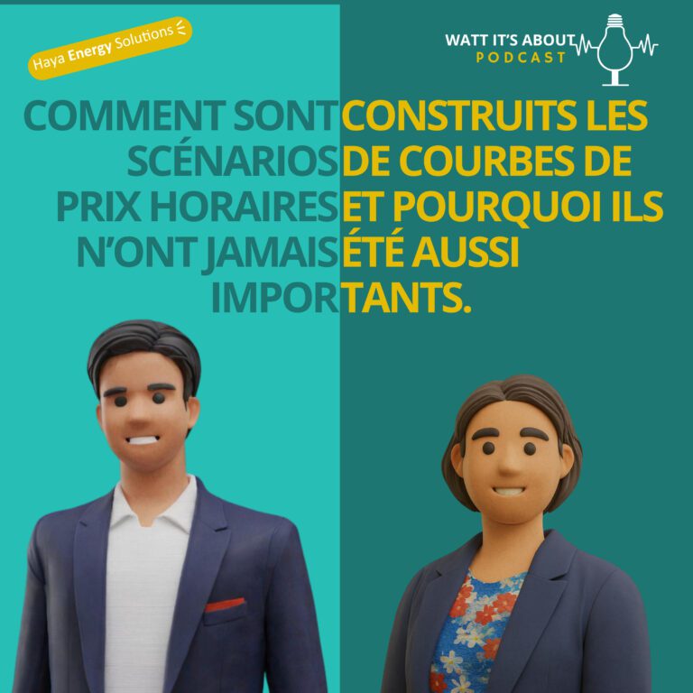 E17-FR. Comment sont construits les scénarios de courbes de prix horaires et pourquoi