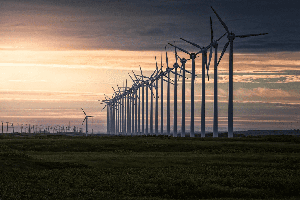 The role of the aggregators in PPAs