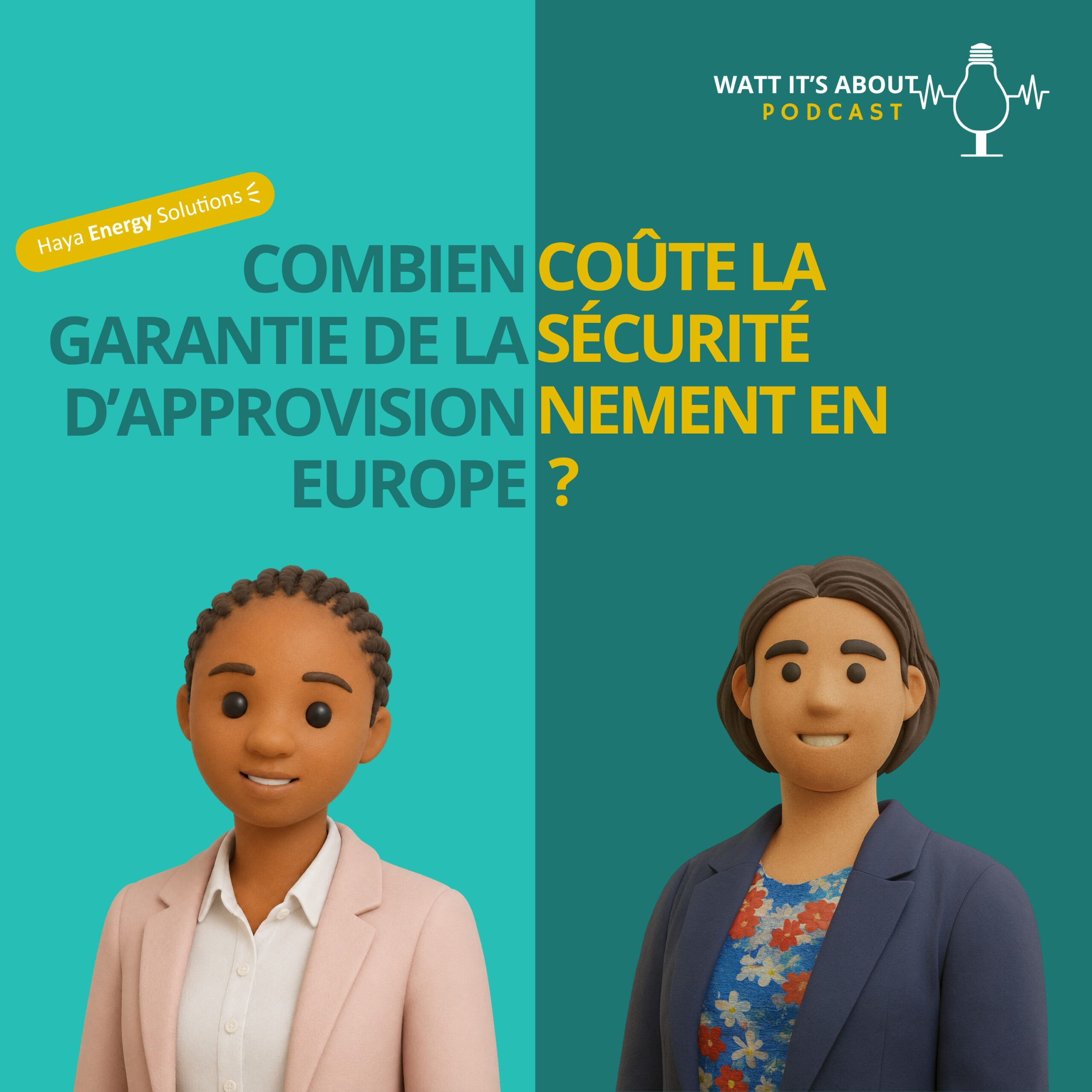 E21 – FR. Combien coûte la garantie de la sécurité d’approvisionnement en Europe ?